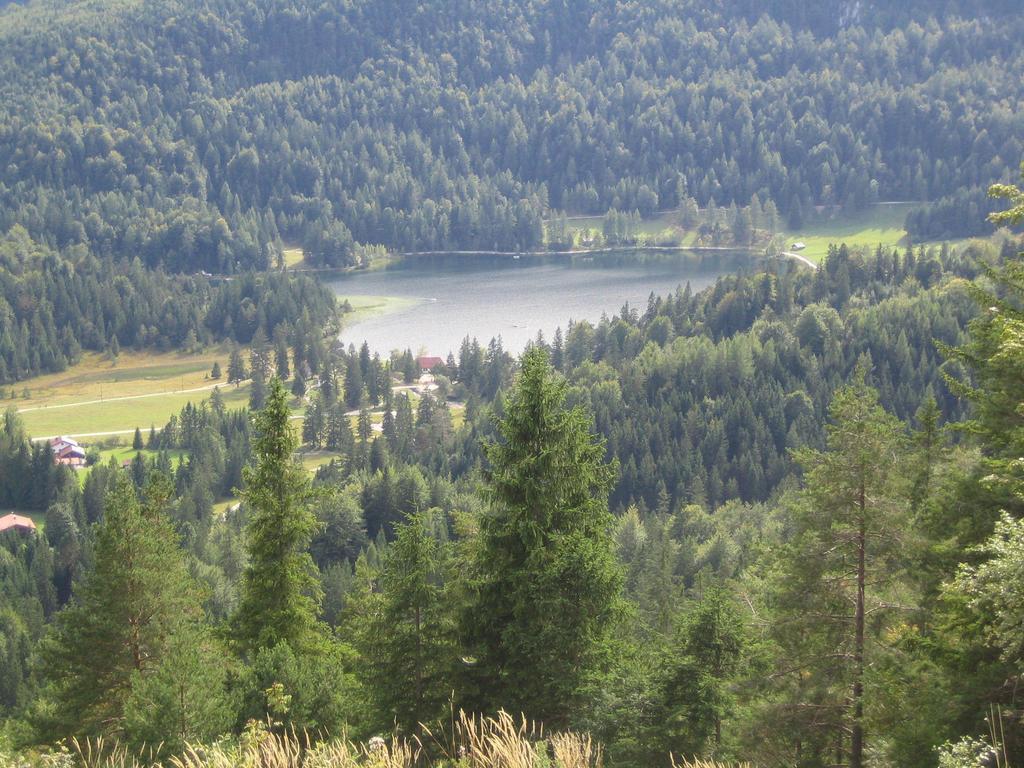 Ferienhaus Beim Veitele Leilighet Mittenwald Eksteriør bilde
